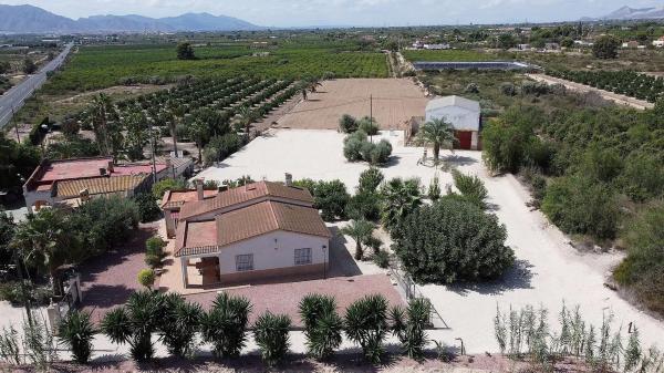 Chalet independiente en venta en Crevillente, Crevillente
 photo 4