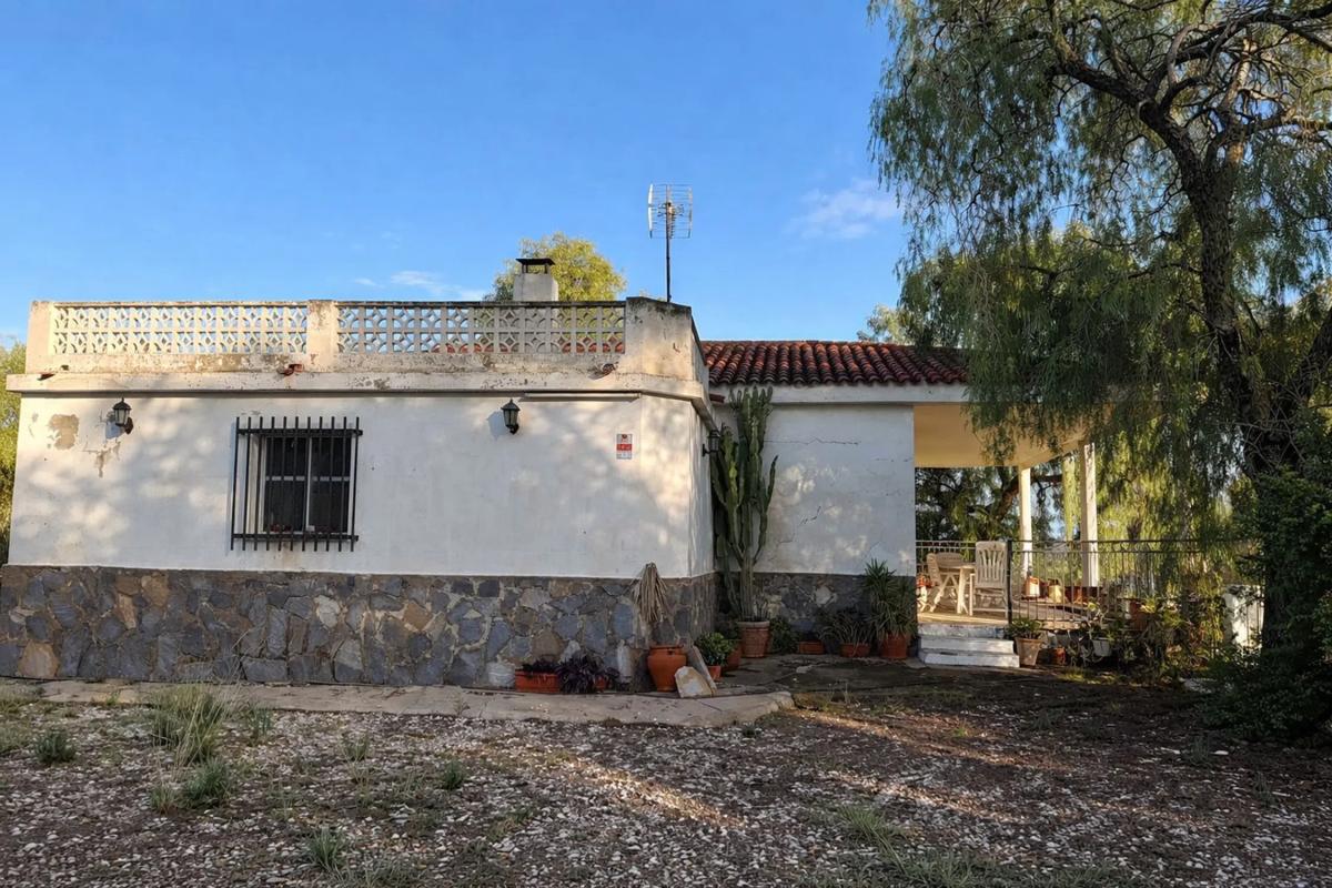 Sale of independent chalet in Partida de Santa Ana, Elche / Elx
photo 4