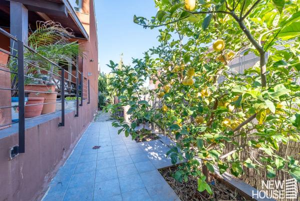 Terraced house for sale at  AV CONRADO ALBALADEJO , Alicante photo 2