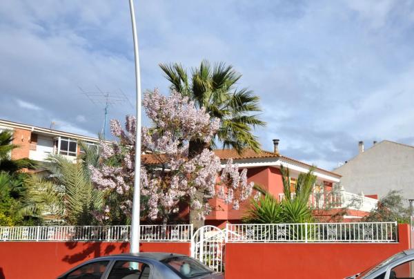 Chalet independiente en venta en Sax, Sax
 photo 1