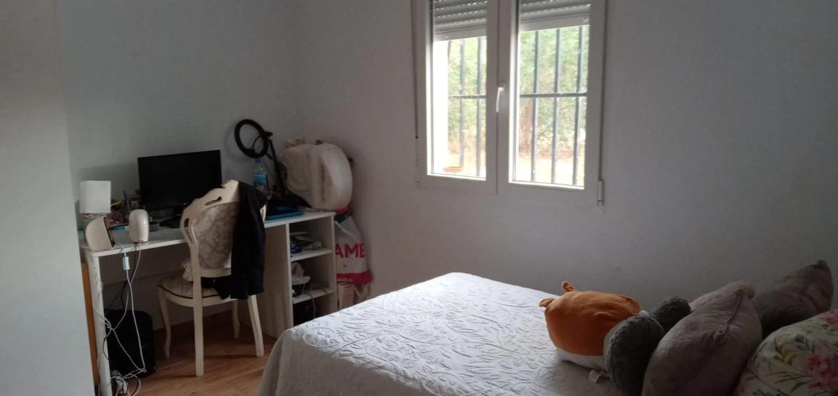 Sale of independent chalet in Partida Lomas, 21, Albatera
 photo 4