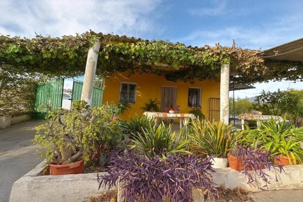 Independent chalet for sale in Albatera, Albatera photo 1