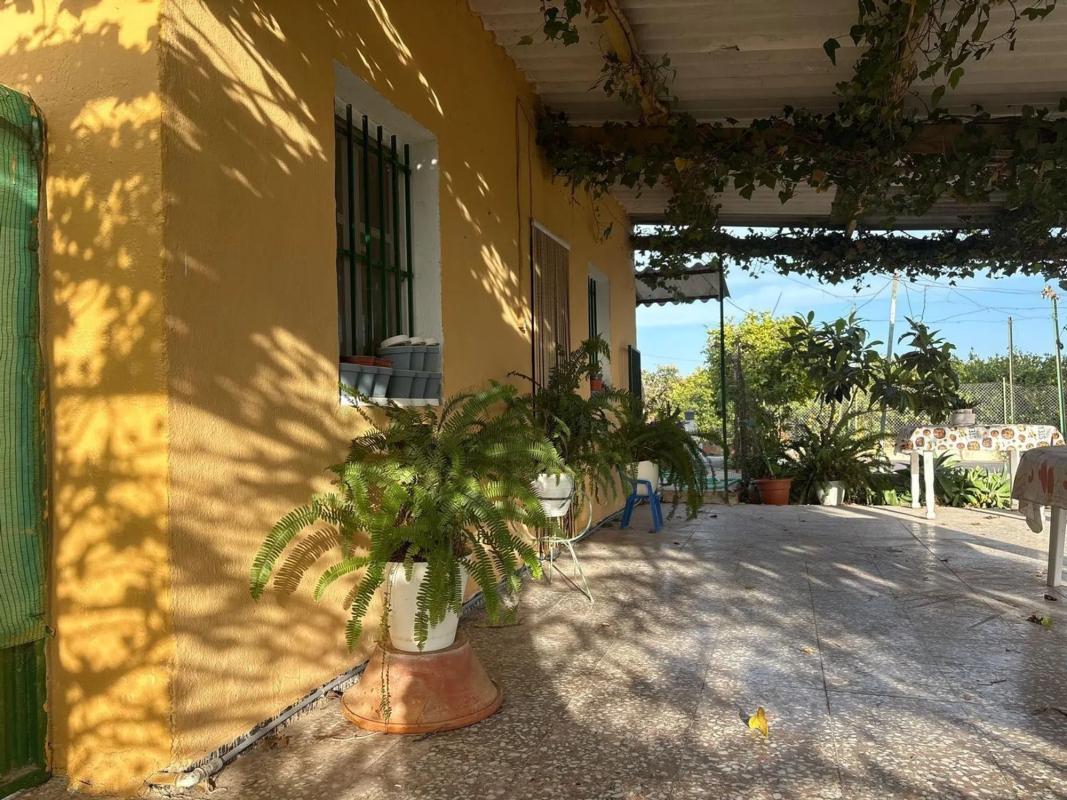 Sale of independent chalet in Albatera, Albatera
 photo 2