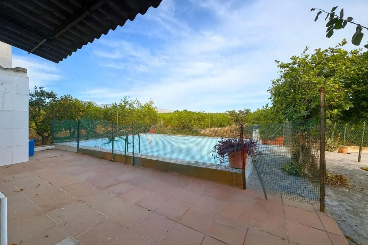 Sale of independent chalet in Albatera, Albatera
 photo 4