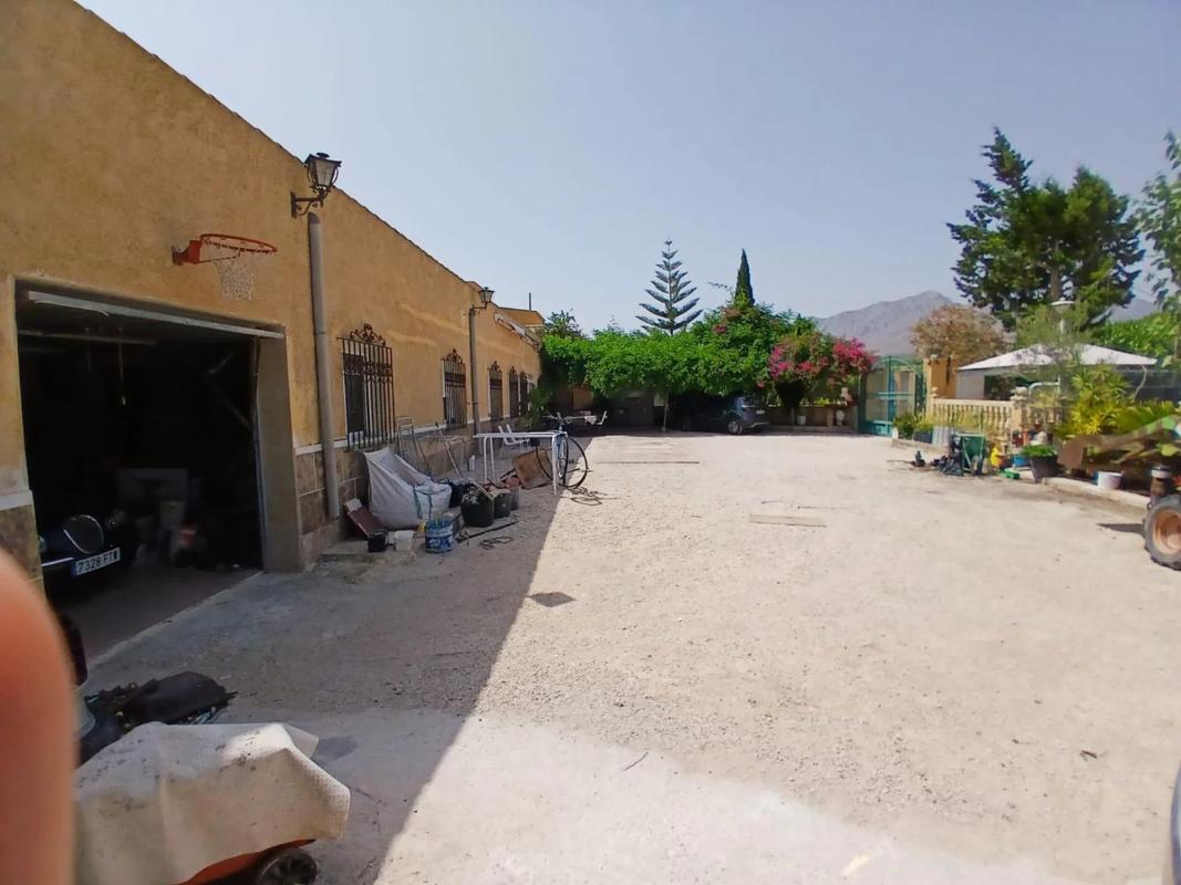 Sale of rural property in Albatera , Albatera photo 1