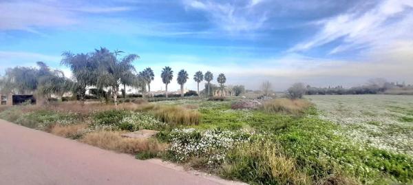 Rustic farm for sale in Callosa de Segura , Callosa de Segura thumbnail 2