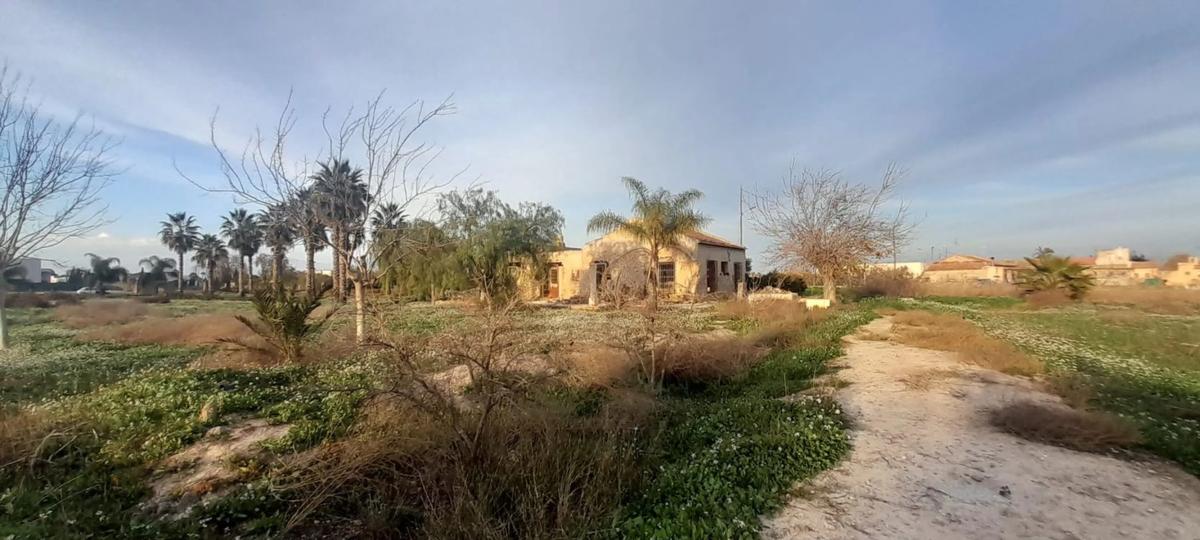 Venta de finca rústica en Catral , Catral photo 4