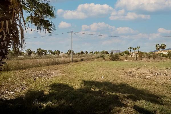 Chalet independiente en venta en Camino Arroba de Hornos, Catral
 photo 4