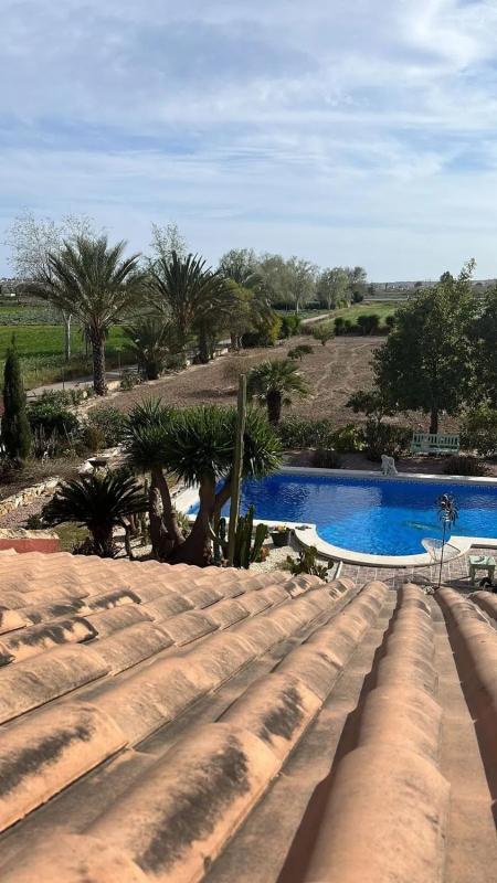 Venta de chalet independiente en Polígono 2 Parcela 144 s/n, Daya Vieja
photo 2