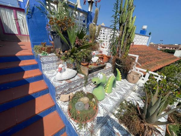 Chalet pareado en calle Benijófar, 13 thumbnail 2