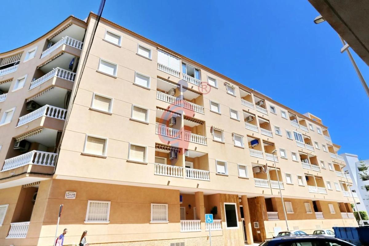 Venta de piso en Calle Hermanos Bazán, 13, Guardamar del Segura
photo 3