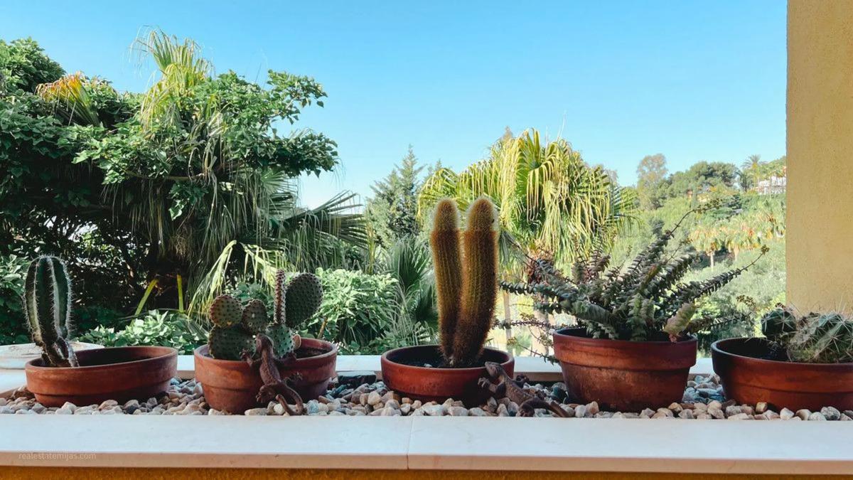 Sale of apartment in Avenida Aljaima, Marbella
 photo 2
