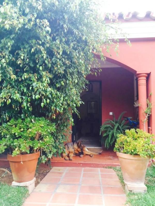 Sprzedaż niezależnego domku jednorodzinnego w  Avenida los Pinos, Marbella photo 3