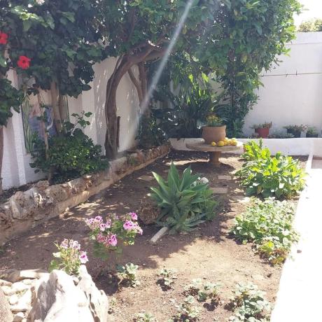 Частный шале на продаже в  Calle Costa del Sol, Марбелла photo 3