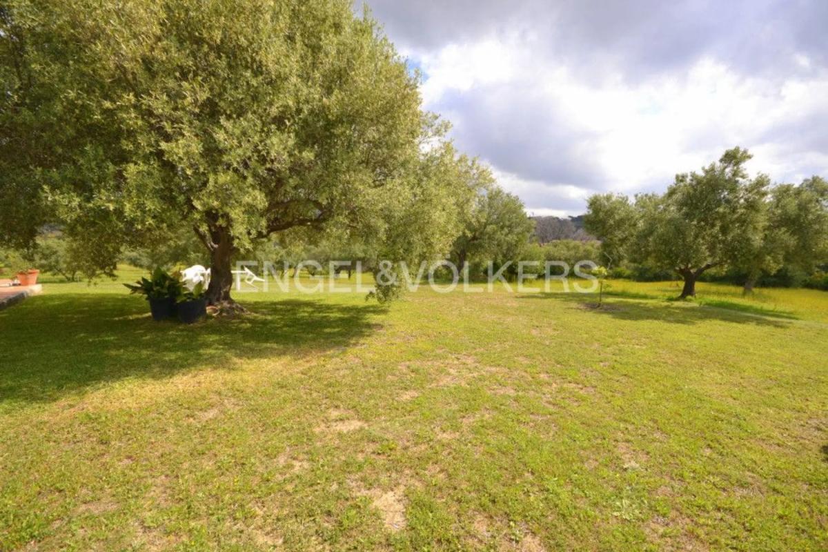 Venta de chalet independiente en Camino de los Leñadores, 68 -56, Marbella
photo 3