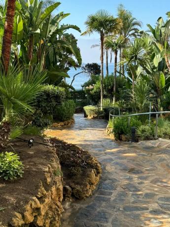 Venta de piso en CL ARTURO RUBISTEIN, 8, Marbella
 photo 3