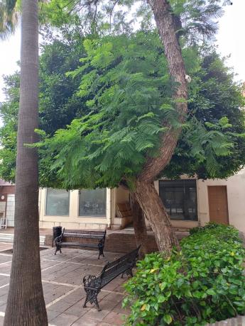 Mieszkanie na sprzedaż w  Avenida Ricardo Soriano, 31, Marbella photo 1