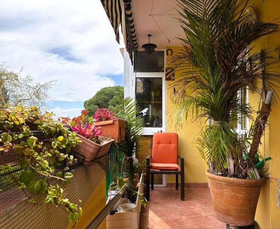 Piso en venta en Barrio Huerta Belón-Calvario, Marbella
 photo 2