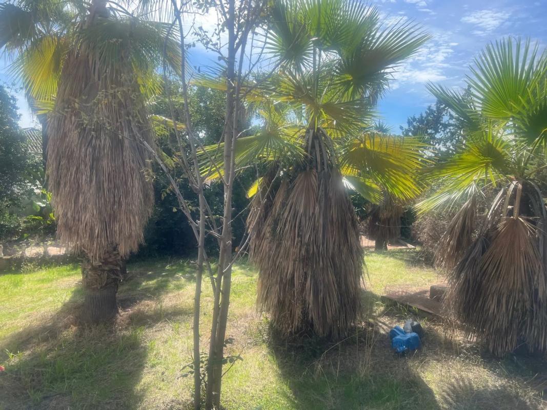 Venta de chalet independiente en Barrio Valdeolletas-Las Cancelas-Xarblanca, Marbella
 photo 5