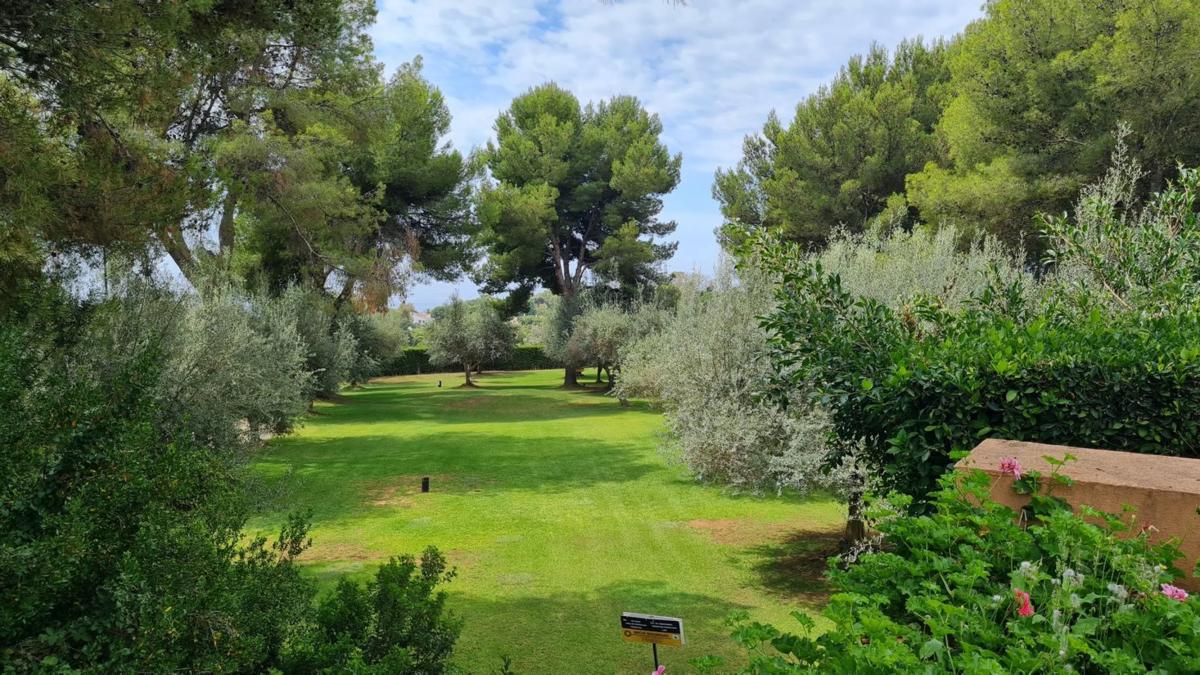 Venta de chalet independiente en Urbanizacion Altos Reales, Marbella
 photo 5