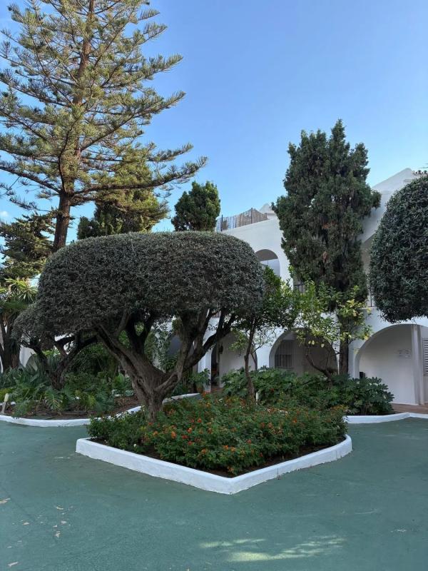 Sale of apartment in Barrio Aloha, Marbella
photo 4