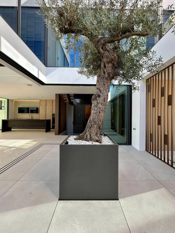 Properties for sale and rent in Spain photo 5
