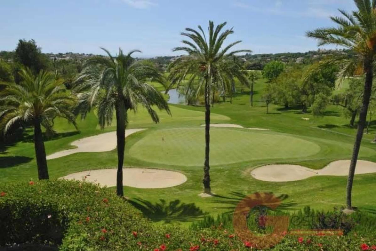 Properties for sale and rent in Spain photo 1