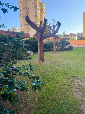 Piso en venta en Rodrigo de triana, Fuengirola
 photo 4