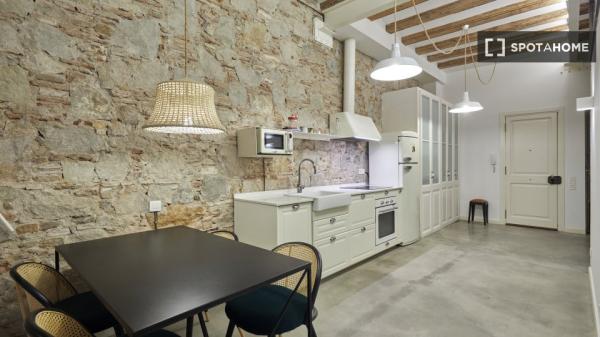 Apartment for rent in  Carrer del Peu de la Creu , Barcelona photo 4