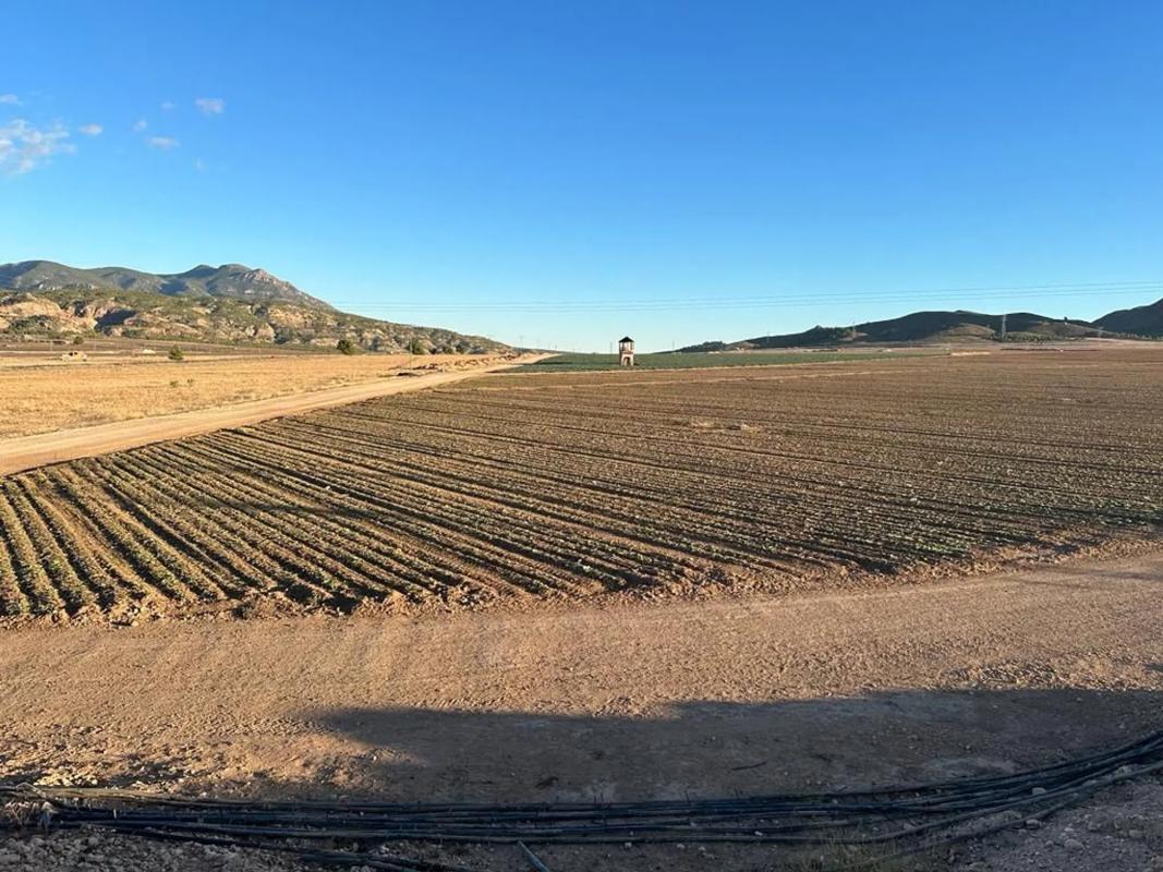 Venta de piso en Diseminado Herrada del Tollo, Jumilla
photo 1