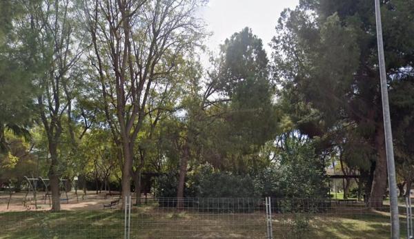 Sale of flat in Camino de Alicante, Cieza
 photo 2