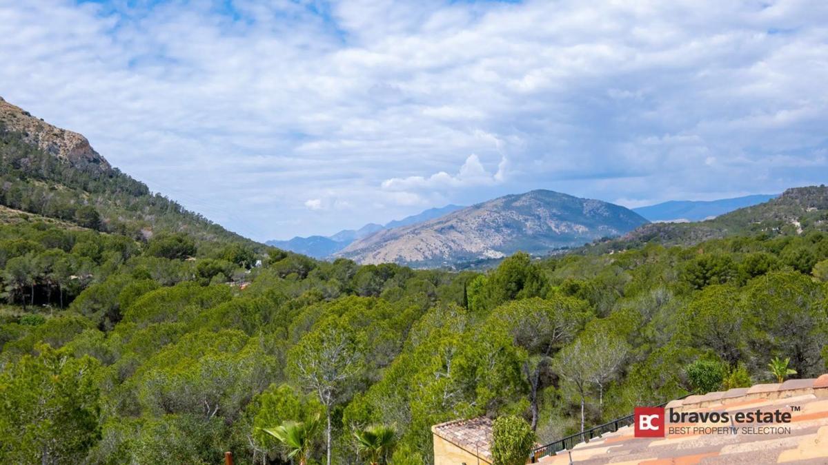 Propiedades en venta y alquiler en España photo 2