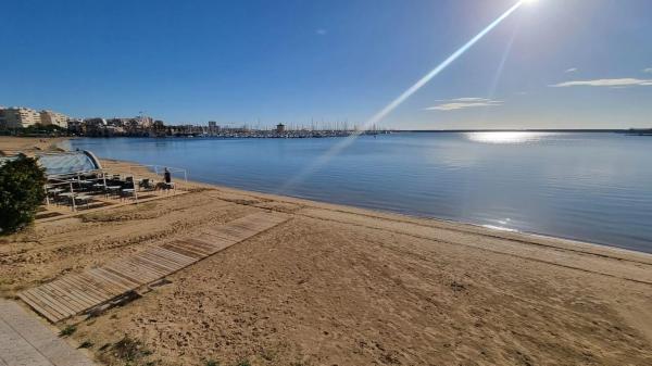 Sale of flat in Avenida Doctor Gregorio Marañón, Torrevieja
 photo 4