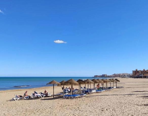 Sale of flat in Barrio Los Europeos, Torrevieja
 photo 4