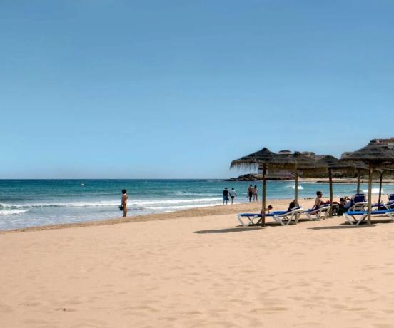 Chalet wolnostojący na sprzedaż w  Calle de los Hibiscus, Torrevieja photo 2