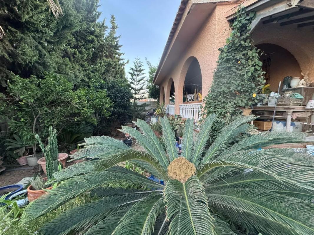 Sprzedaż niezależnego domku jednorodzinnego w Barrio Zona los Frutales, Torrevieja photo 1