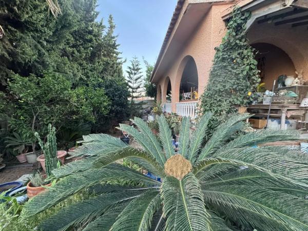 Chalet wolnostojący na sprzedaż w Barrio Zona los Frutales, Torrevieja photo 1
