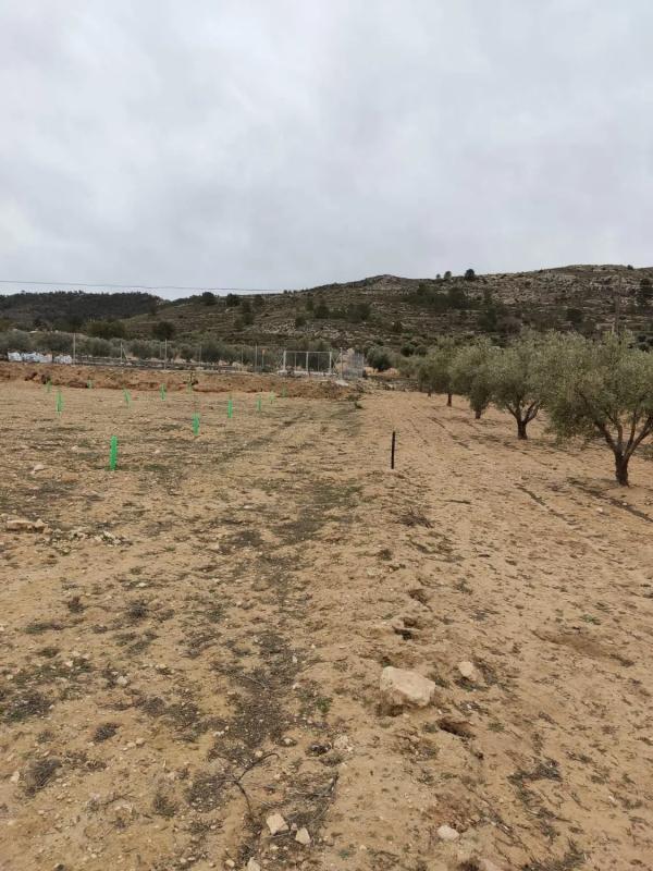 Terreno en venta en Villena, Alicante photo 1