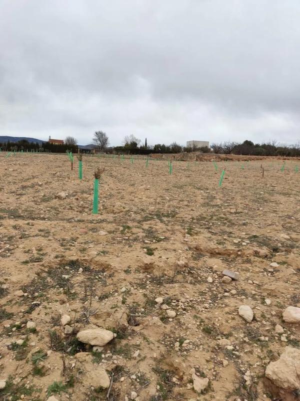 Terreno en venta en Villena, Alicante photo 2