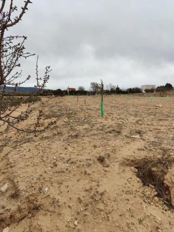 Terreno en venta en Villena, Alicante photo 4