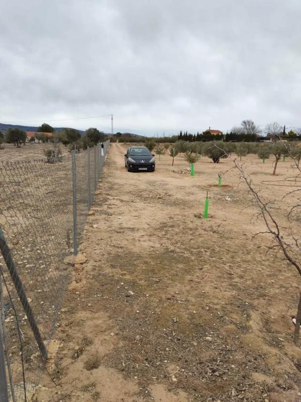 Terreno en venta en Villena, Alicante photo 5