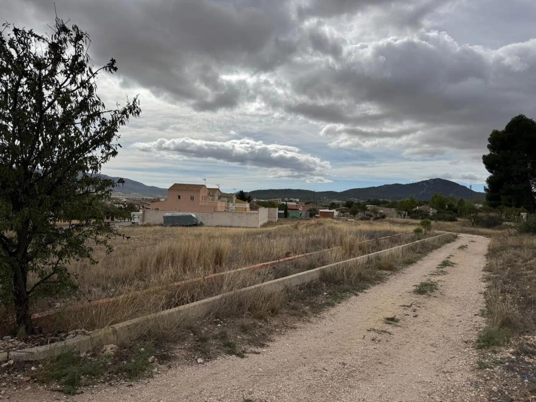 Działka na sprzedaż w Salinas, Alicante photo 5