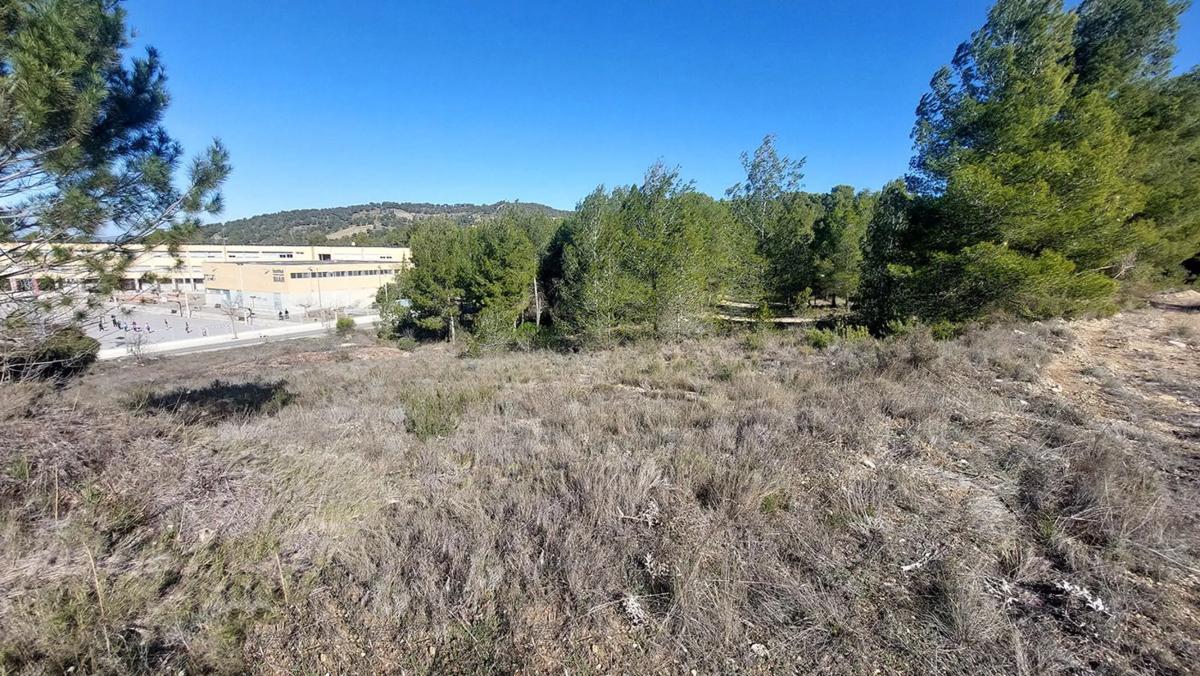 Terreno en venta en Biar, Alicante photo 2