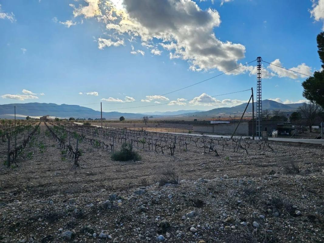 Działka na sprzedaż w Salinas, Alicante photo 3