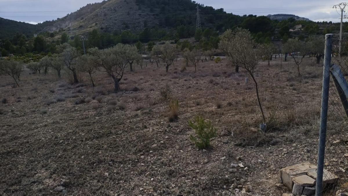 Terreno en venta en Biar, Alicante photo 2