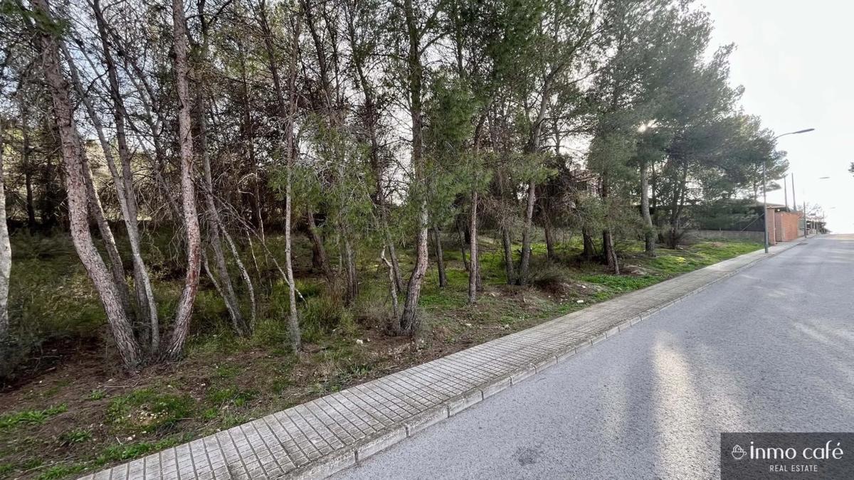 Terreno en venta en Cañada, Alicante photo 4