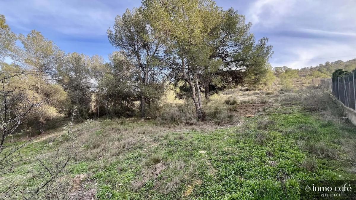 Terreno en venta en Cañada, Alicante photo 5