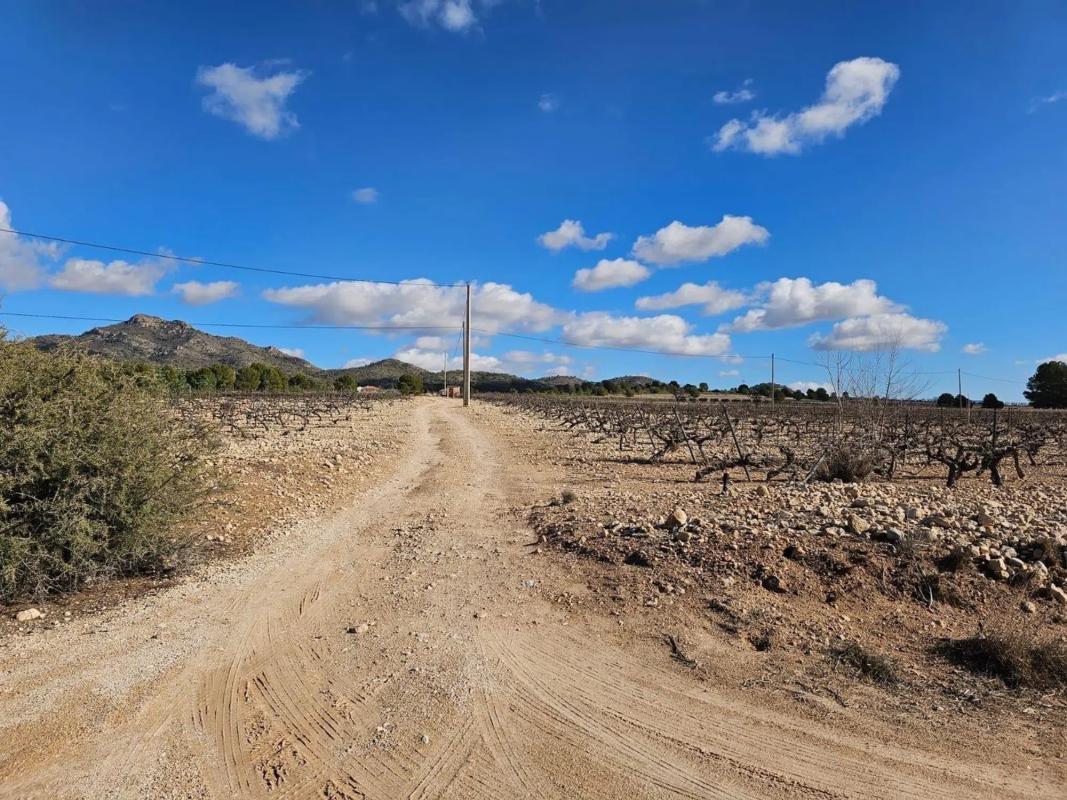 Land for sale in Salinas, Alicante photo 3