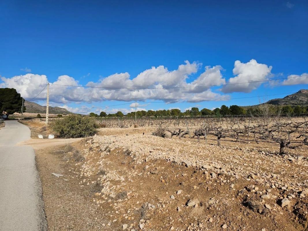 Land for sale in Salinas, Alicante photo 4