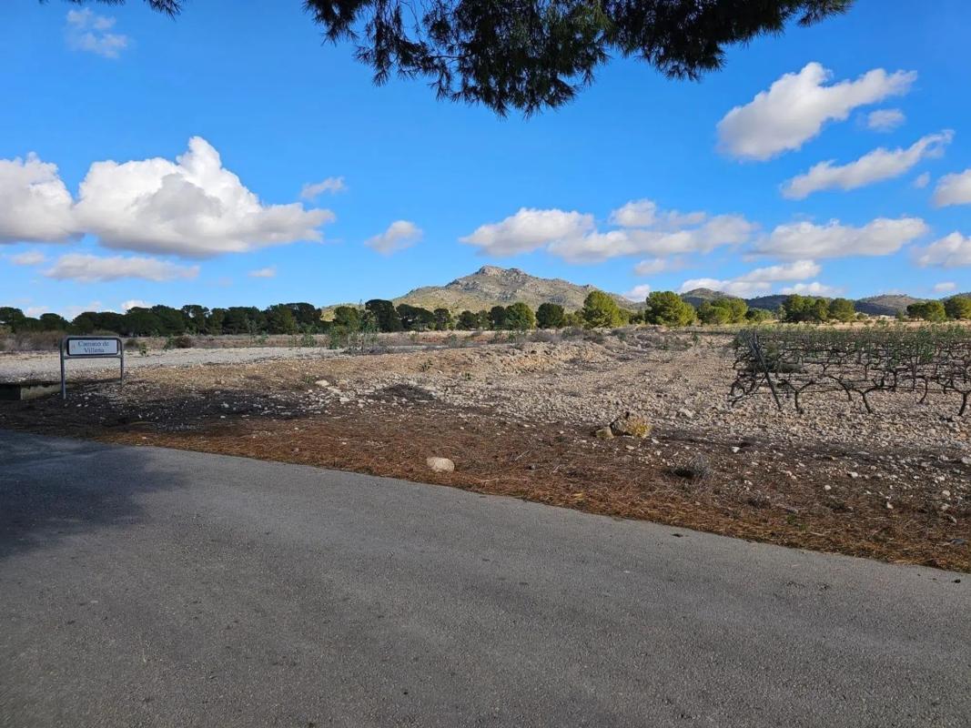 Land for sale in Salinas, Alicante photo 5